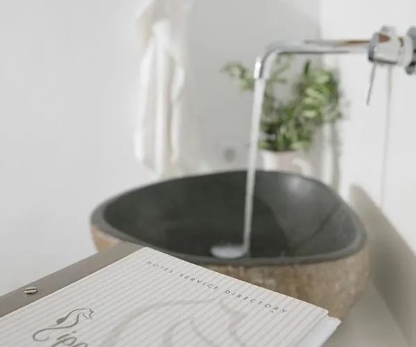 Ippokampos Beachfront Daire *