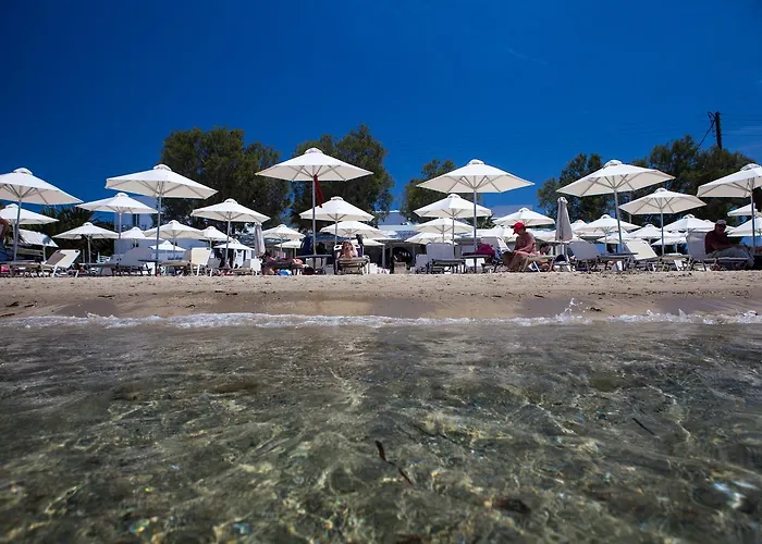 Ippokampos Beachfront Naxos City