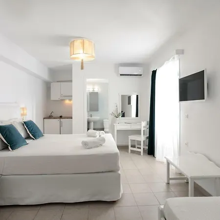 Ippokampos Beachfront Naxos City